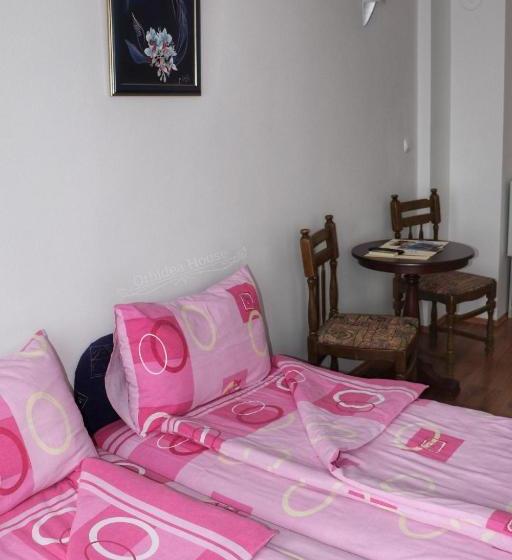 پانسیون Orhidea House