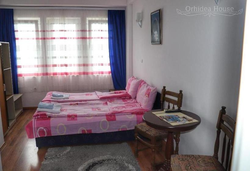 پانسیون Orhidea House