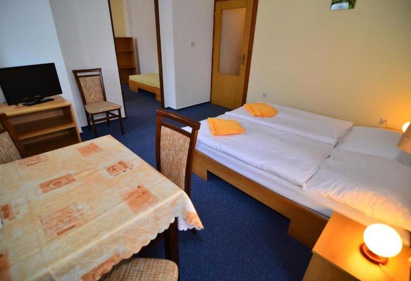 פנסיון Penzion Bona