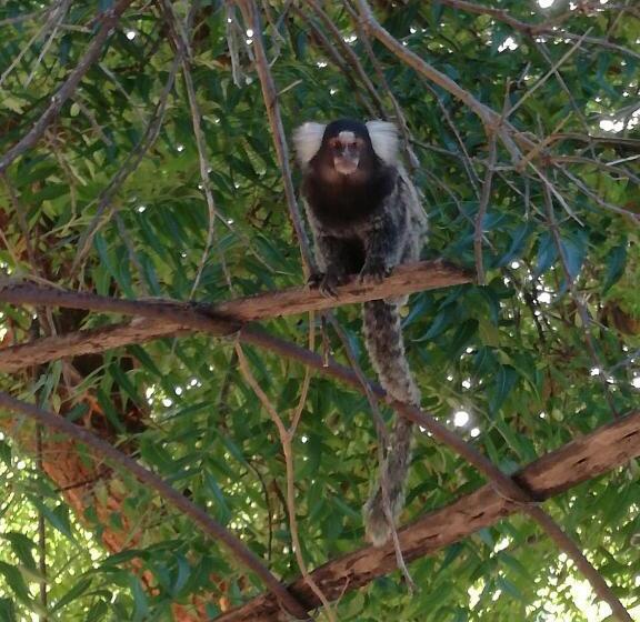 بنسيون Pousada Côté Sud