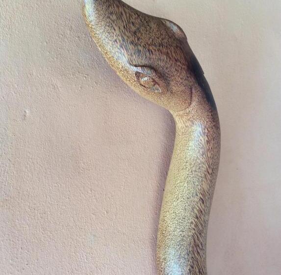 بنسيون Pousada Côté Sud