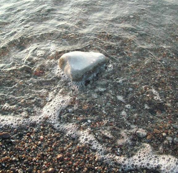 Pension Haus Edelweiß