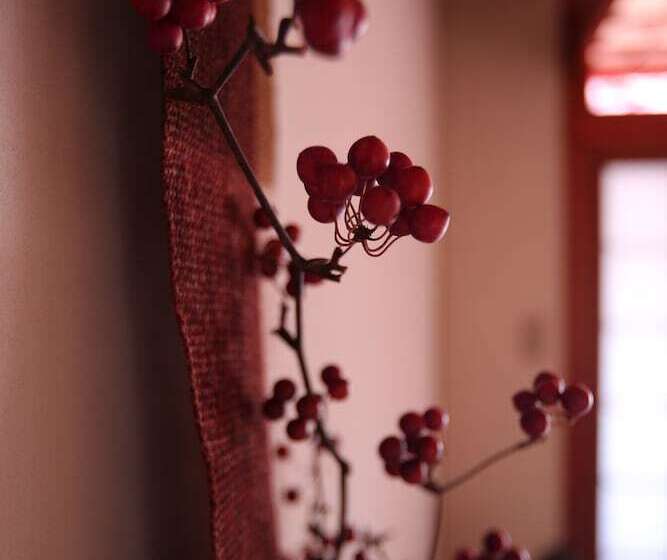 ريوكان Oyado Suzuka