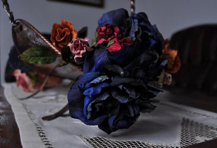 旅馆 Posada Ansorena