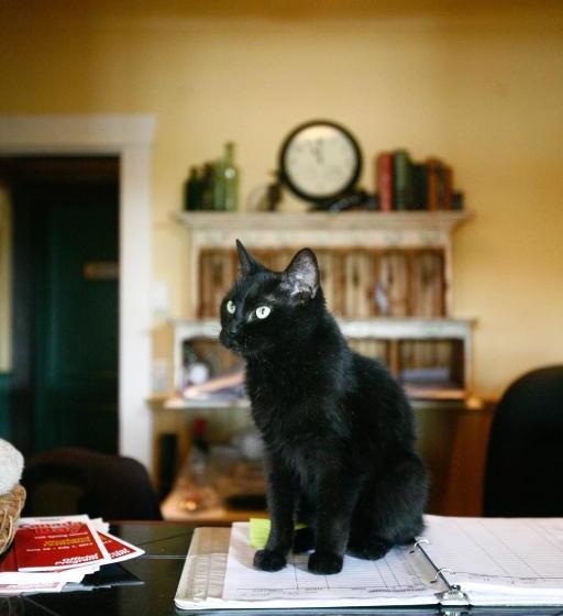 Herberge Salt Spring Inn