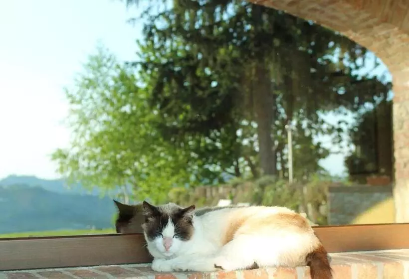 ホテル Agriturismo Il Bricco