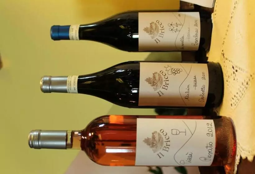 ホテル Agriturismo Il Bricco