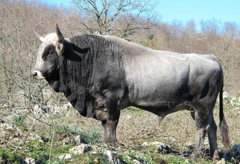 Hotel Agriturismo Monte Sacro