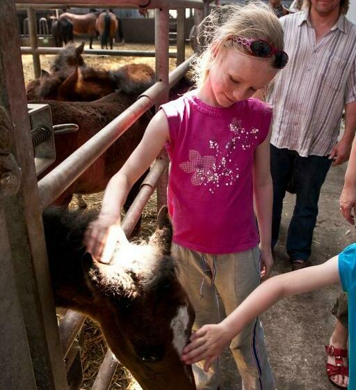 בית מלון כפרי Filippus Vakantiehoeve