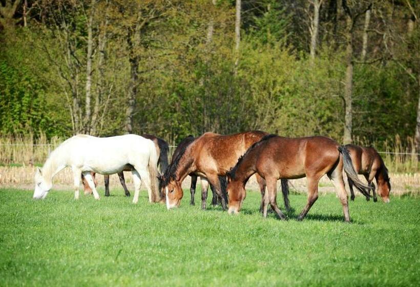 בית מלון כפרי Filippus Vakantiehoeve