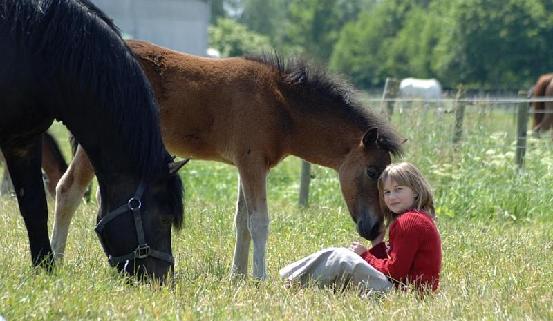 בית מלון כפרי Filippus Vakantiehoeve