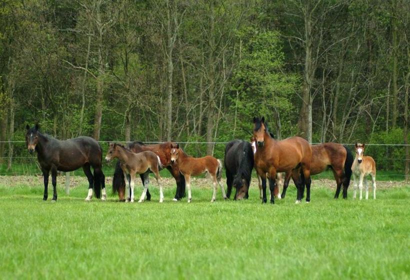 בית מלון כפרי Filippus Vakantiehoeve