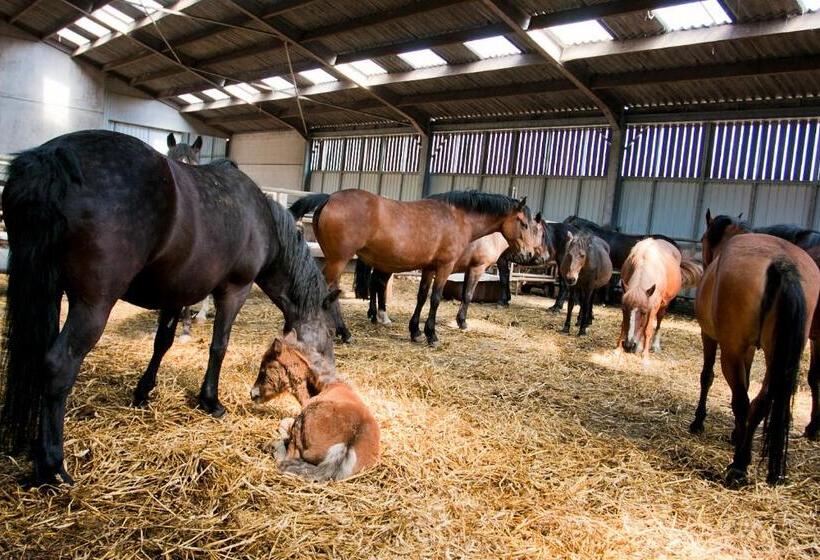 בית מלון כפרי Filippus Vakantiehoeve