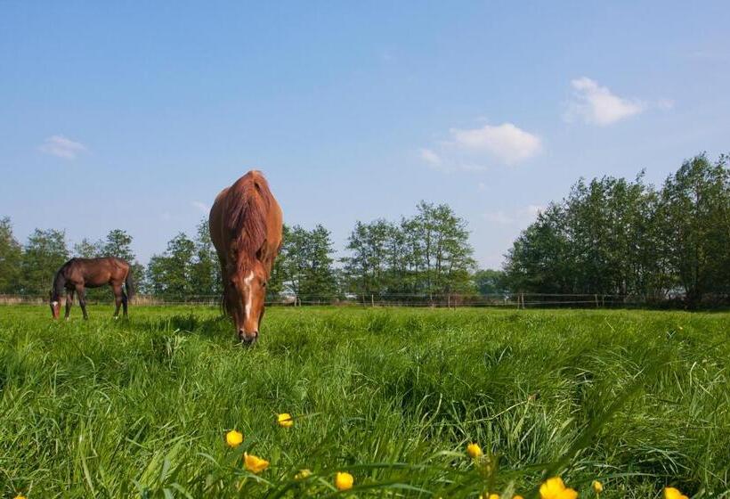 בית מלון כפרי Filippus Vakantiehoeve