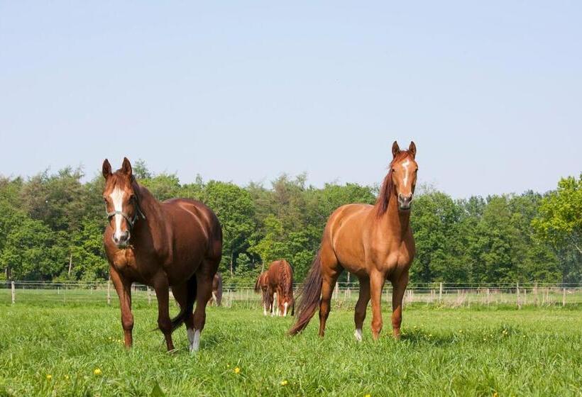 בית מלון כפרי Filippus Vakantiehoeve