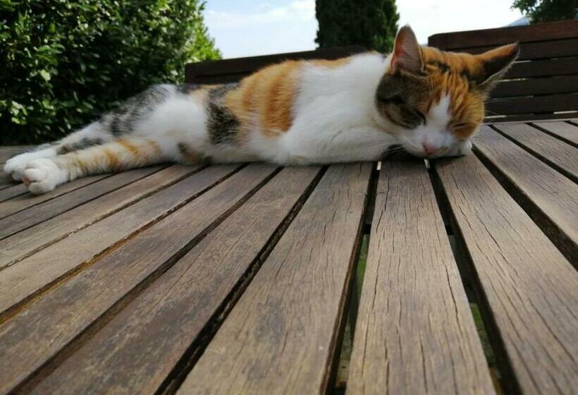 ホテル Poggio Cantarello Vacanze