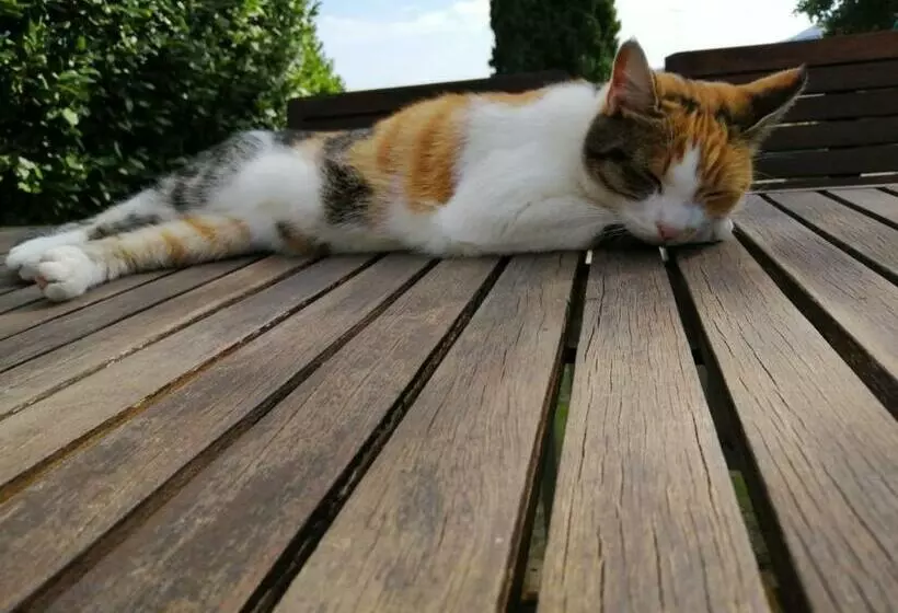 ホテル Poggio Cantarello Vacanze