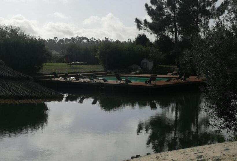 膳宿费 Amor De Crianca