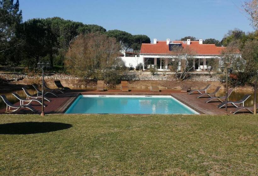 膳宿费 Amor De Crianca