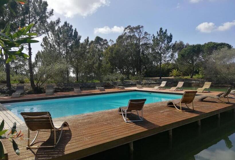 膳宿费 Amor De Crianca