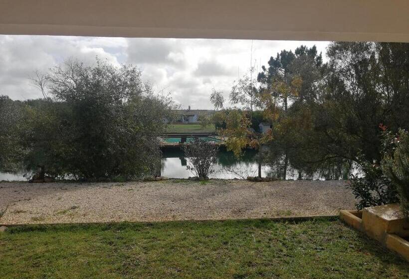 膳宿费 Amor De Crianca