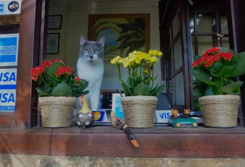 پانسیون Aratinga Inn