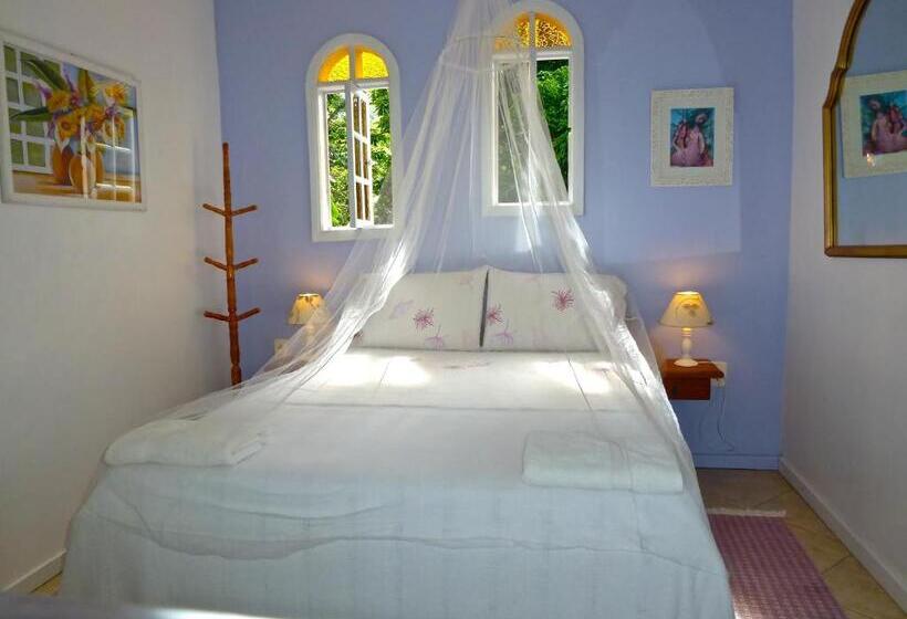 پانسیون Aratinga Inn