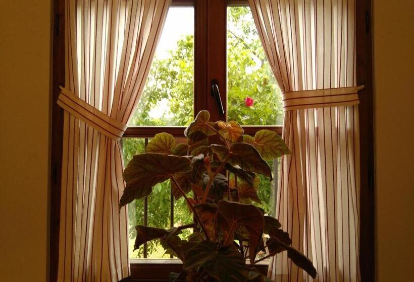 بنسيون Casa Fidela