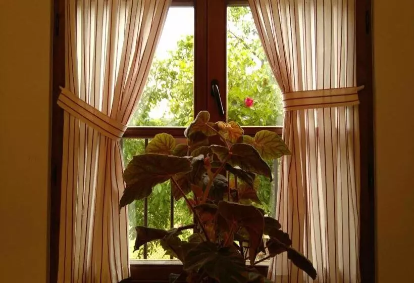 Majatalo Casa Fidela