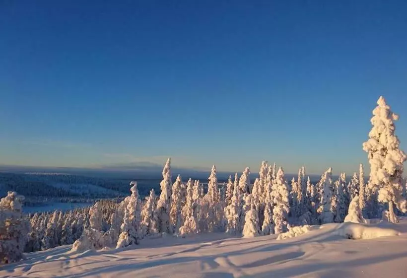 Majatalo Guesthouse Golden Goose