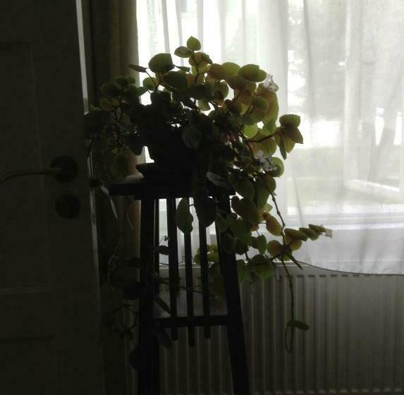 پانسیون Kastani Home Accommodation