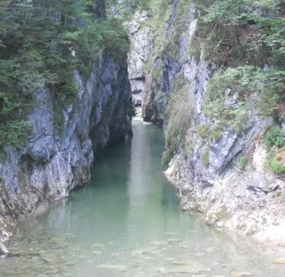 پانسیون Landgasthof Pfarrwirt