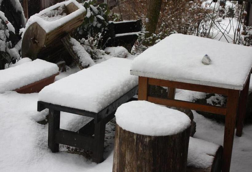 Пансион Magome Chaya