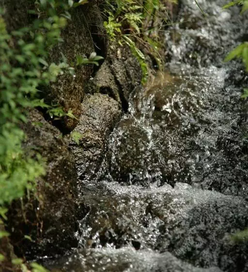 پانسیون Magome Chaya