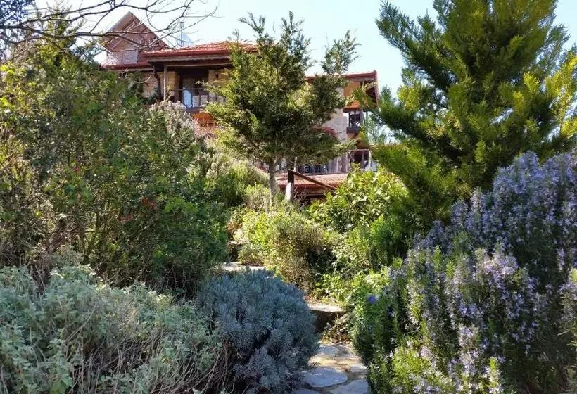ペンション Yediburunlar Lighthouse