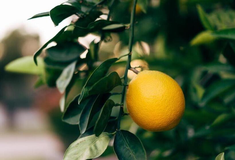 Residence Al Foionco