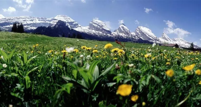 Retkeilymaja Schwendi Lodge