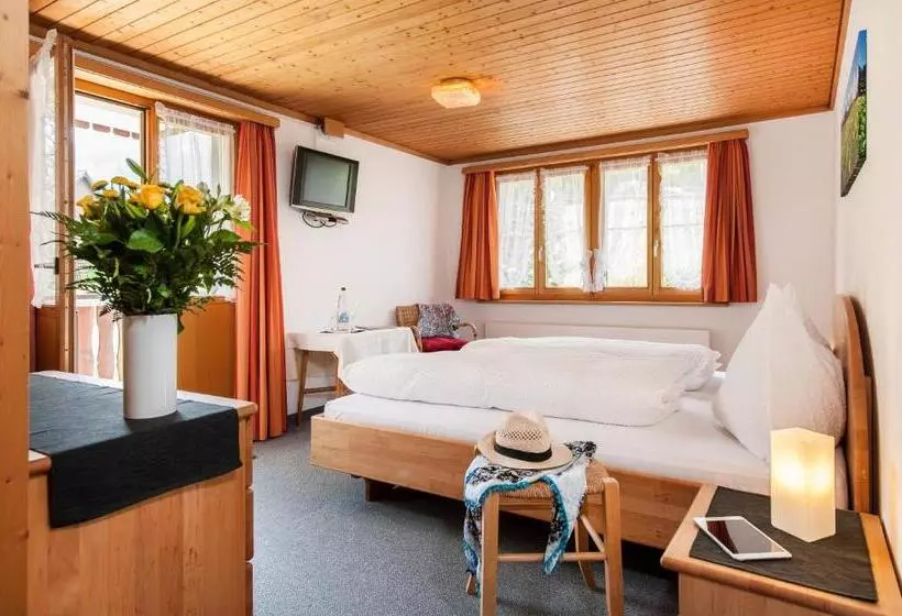 Retkeilymaja Schwendi Lodge