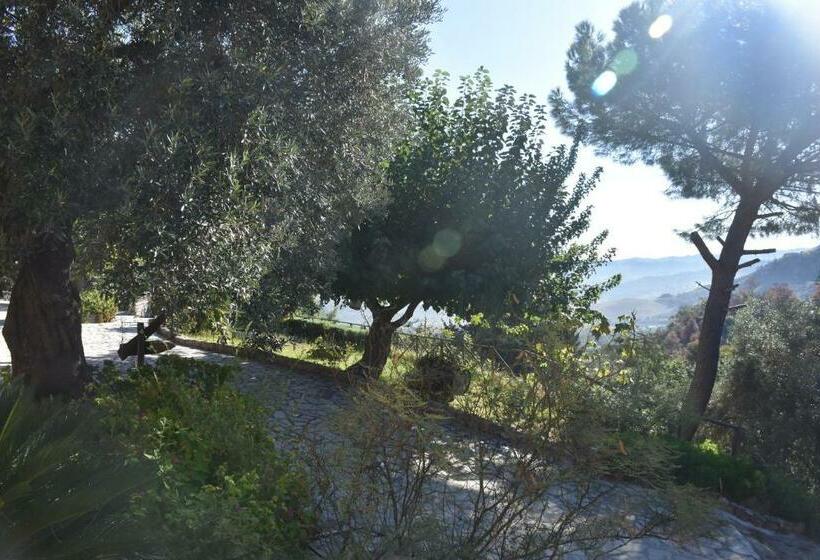 ホテル Azienda Agrituristica Biologica Il Querceto