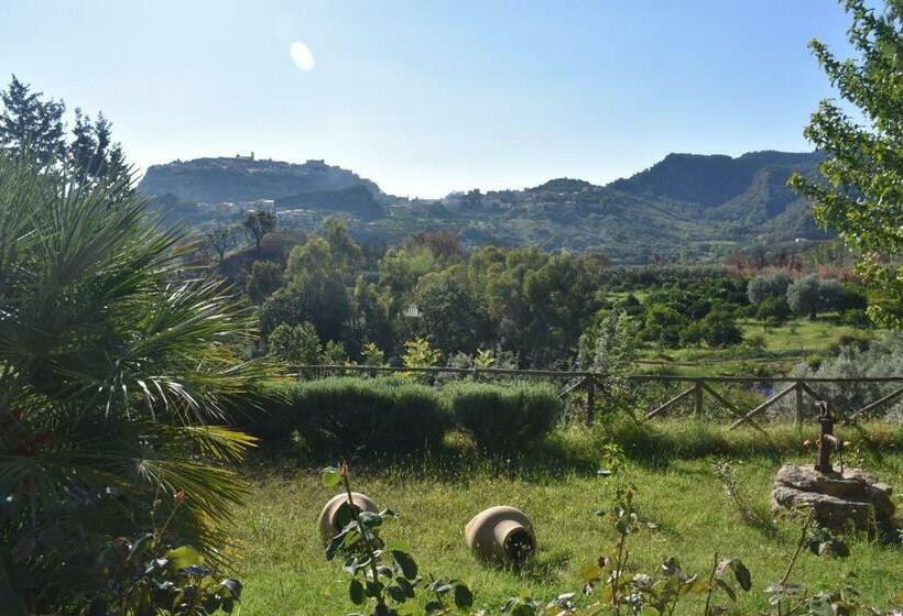 ホテル Azienda Agrituristica Biologica Il Querceto