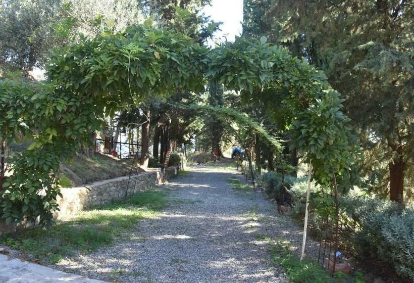 ホテル Azienda Agrituristica Biologica Il Querceto