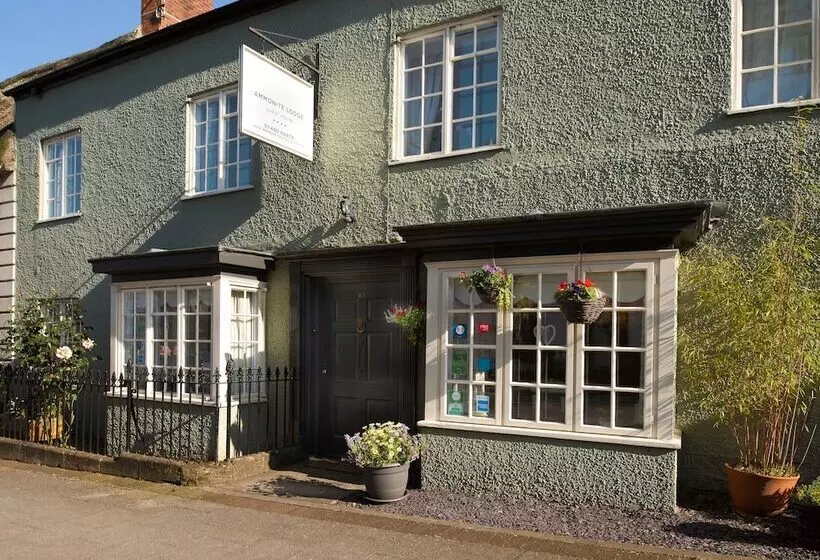 Majatalo Ammonite Lodge