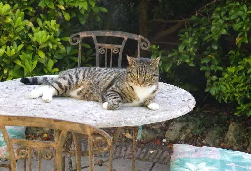 Majatalo Ammonite Lodge