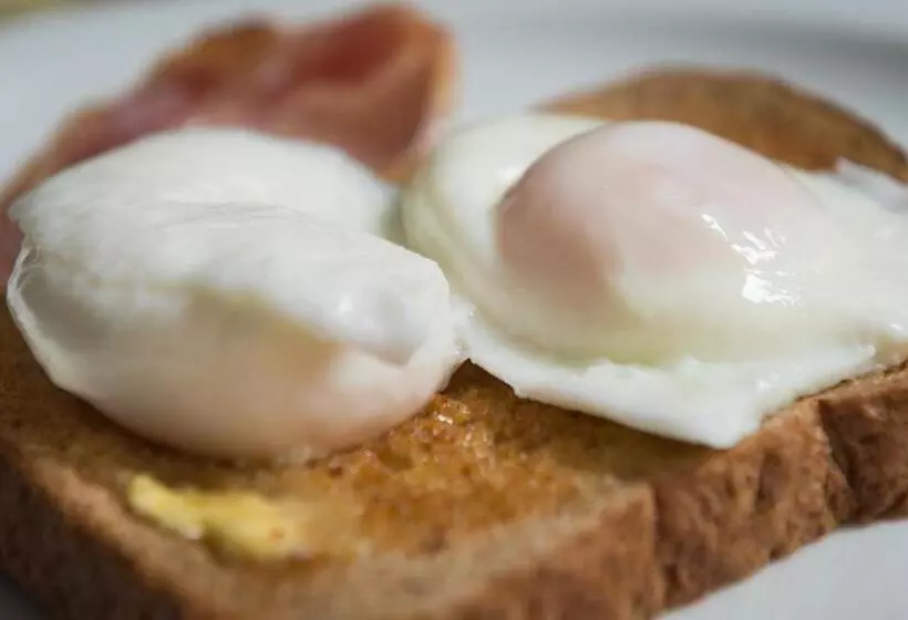 Majatalo Ammonite Lodge