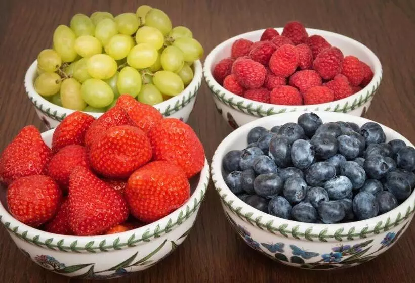 Majatalo Ammonite Lodge