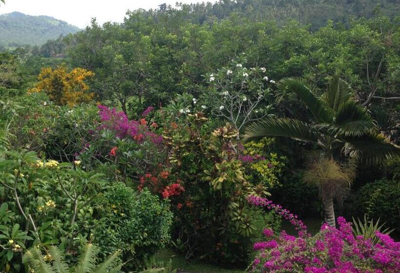 膳宿费 Nirarta Center For Living Awareness