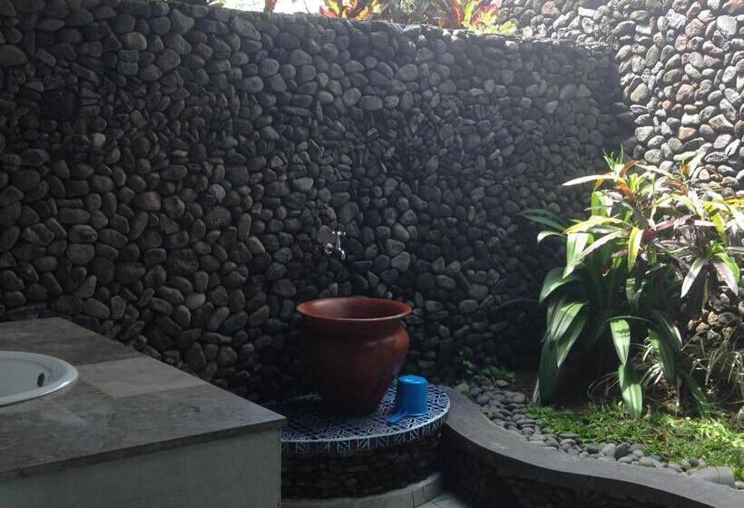 膳宿费 Nirarta Center For Living Awareness