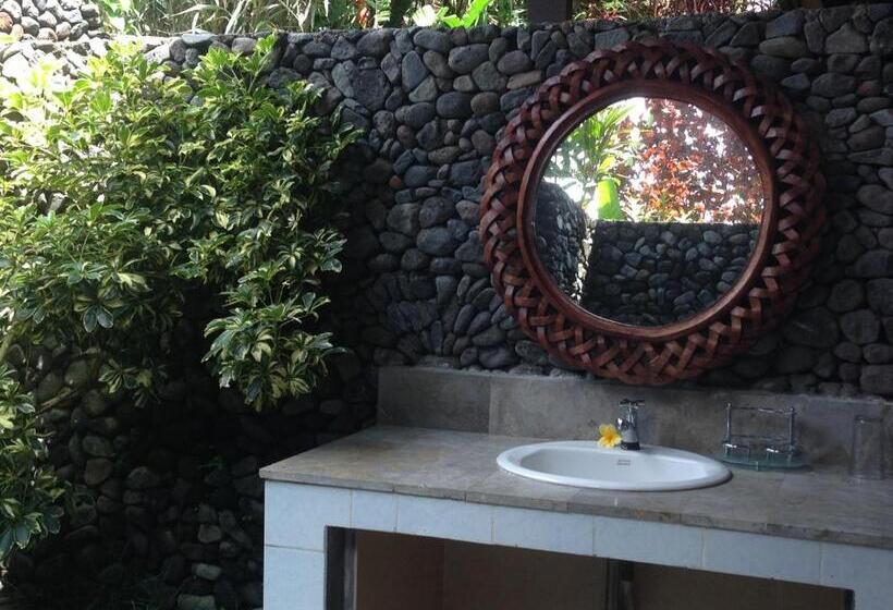 膳宿费 Nirarta Center For Living Awareness