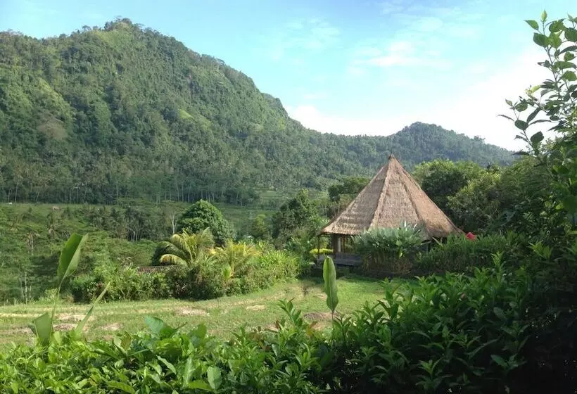 Majatalo Nirarta Center For Living Awareness