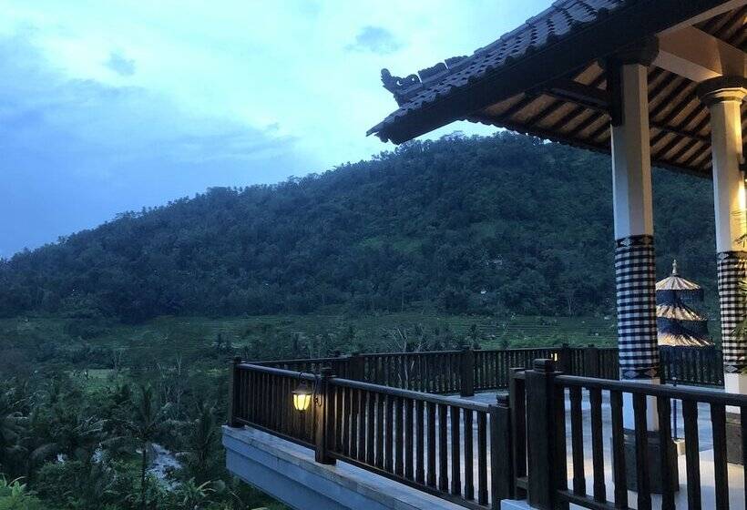 膳宿费 Nirarta Center For Living Awareness